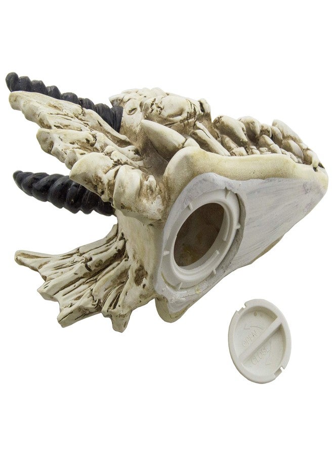 EX ELECTRONIX EXPRESS Snarling Magical Dragon Skull Treasure Trinket Box - Image 5